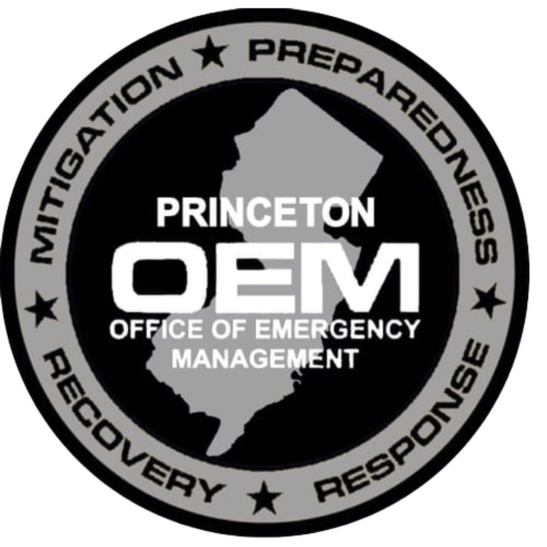 Princeton OEM